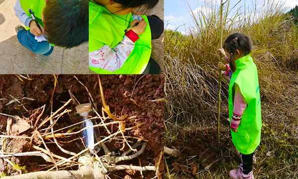 植樹節(jié)活動